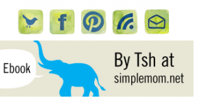 Social Media Icons at Simple Mom