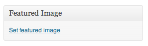 WordPress Editor Featured Image Options
