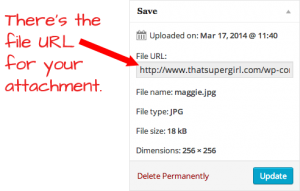 Uploaded File URL WP Admin