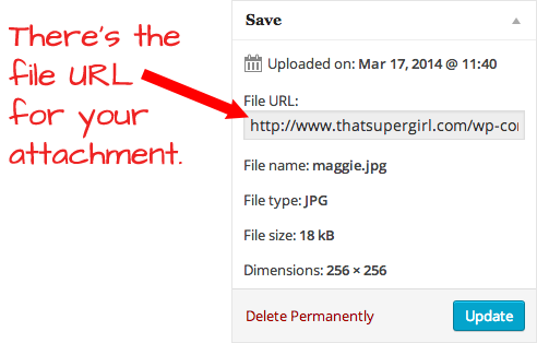 Uploaded File URL WP Admin